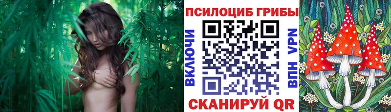 Псилоцибиновые грибы Psilocybine cubensis  хочу наркоту  блэк спрут как зайти  Старый Оскол 